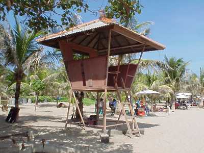 Life guard tower next to Sammy & Sussy's