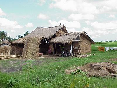 Straw Hut being build